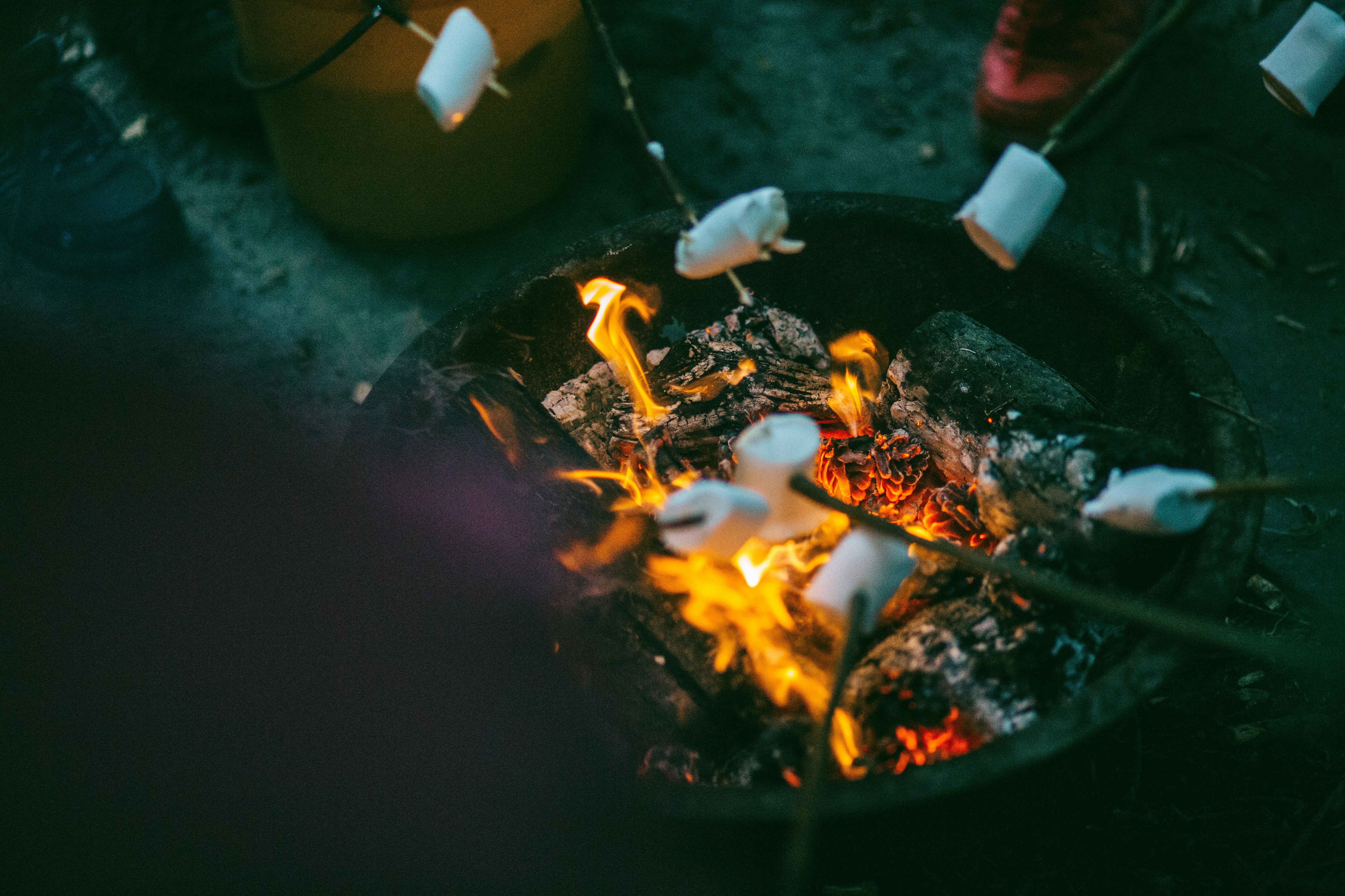 Roasting marshmellows at summer camp in the US